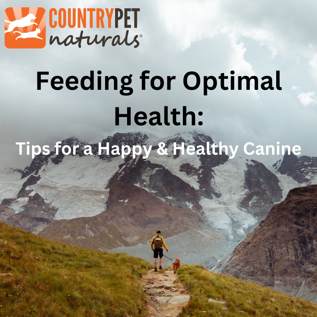 Feeding for Optimal Health: Tips for a Happy & Healthy Canine