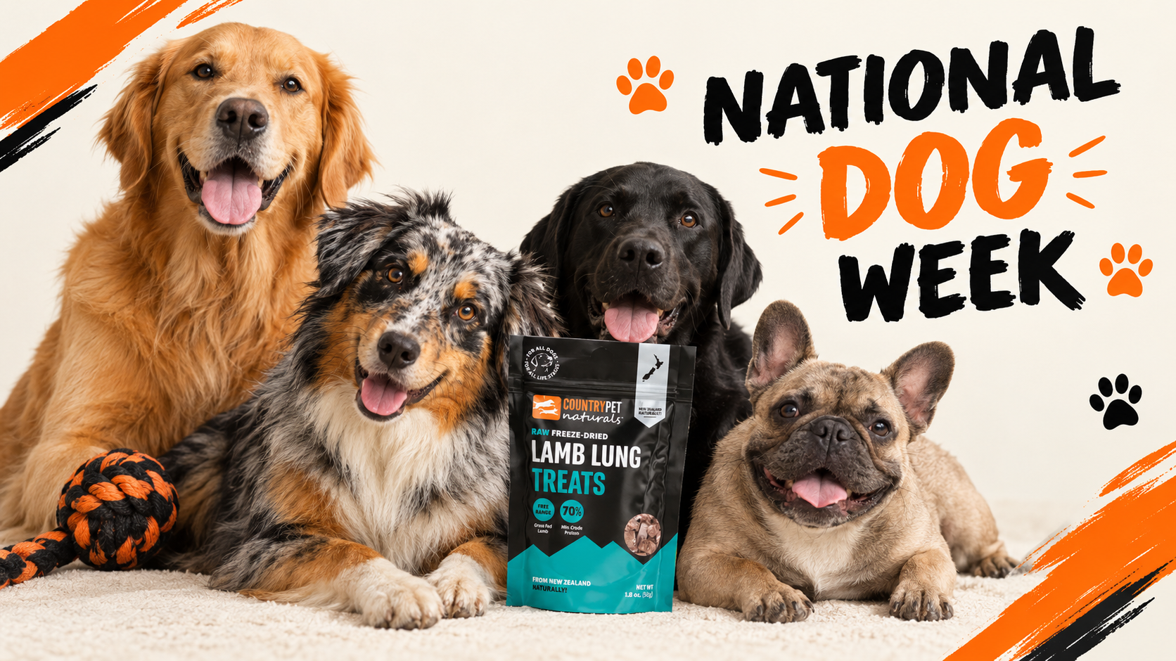 5 Ways to Celebrate National Dog Week With Your Best Friend