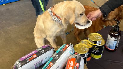 100% Icelandic Wild-Caught Cod Liver Oil - 16 oz