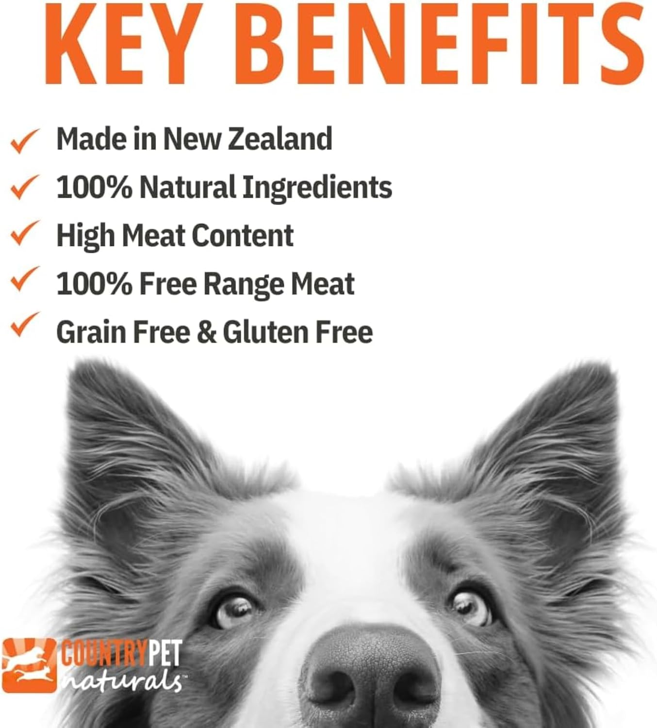 Lamb Dog Food 13oz Cans - Tray of 9 Cans – CountryPet Naturals