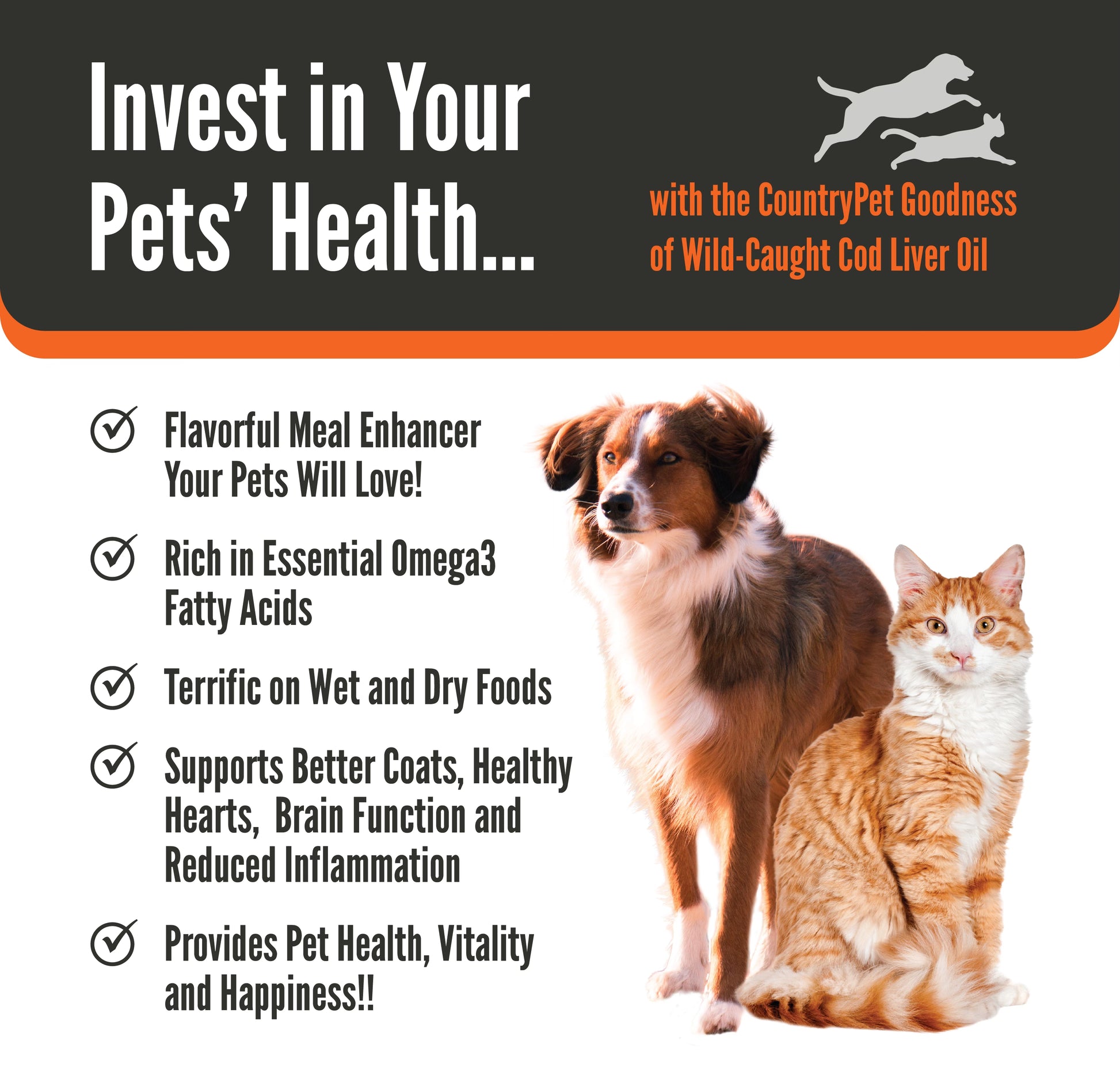 Cod liver oil 2024 good for dogs